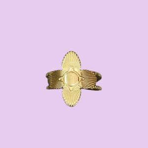 ANILLO OLVERA